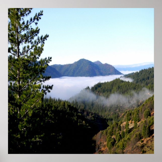 Misting morning fog...... poster (Front)