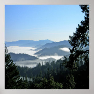 Misting Morning Fog.... Poster