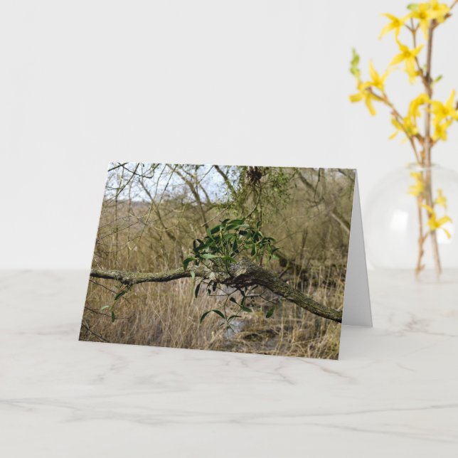 Mistletoe Card (Yellow Flower)