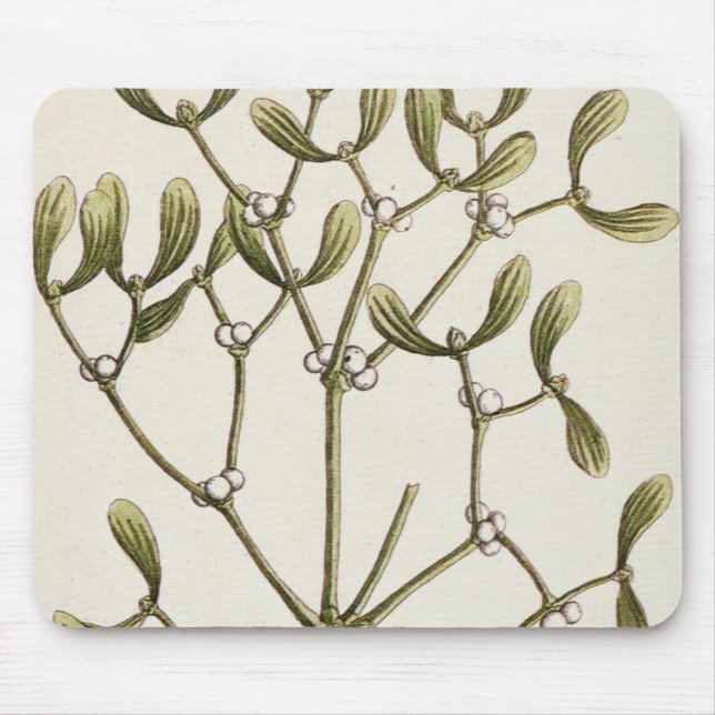 Mistletoe from 'A Curious Herbal', 1782 Mouse Pad (Front)