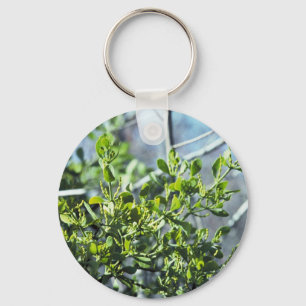 Mistletoe Keychain