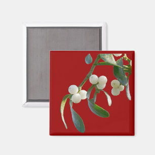 Mistletoe Magnet