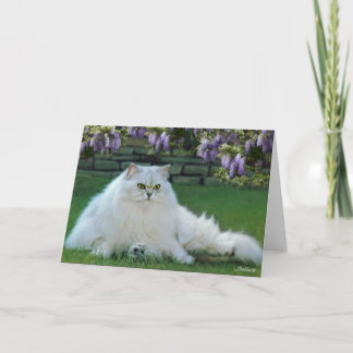 Mistletoe the Silver Persian Blank Greeting Card