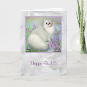 Mistletoe the Silver Persian Cat Birthday Card