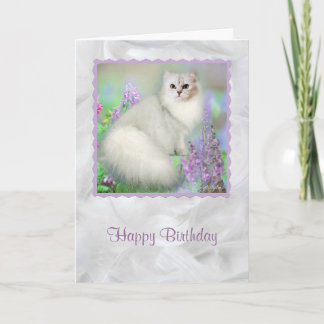 Mistletoe the Silver Persian Cat Birthday Card
