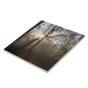 Misty Autumn Morning in the Forest #1 Tile