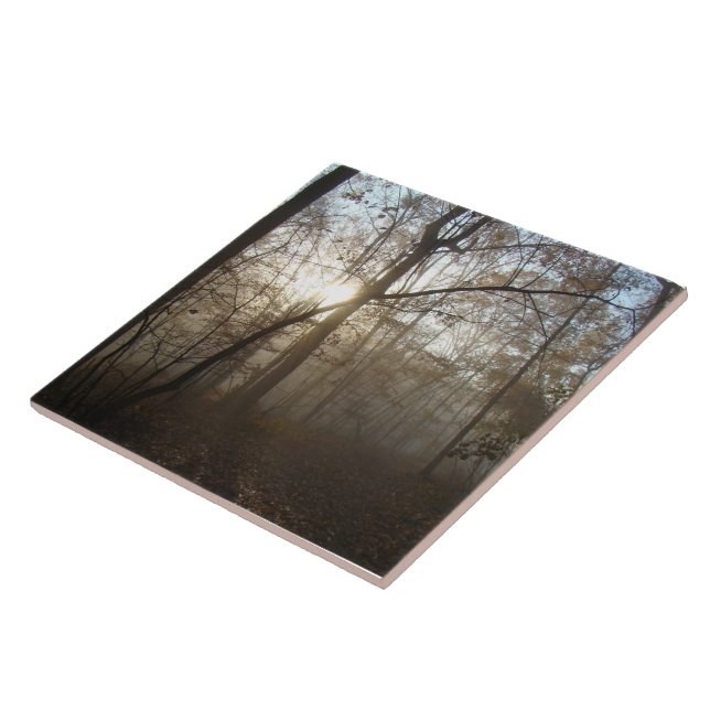 Misty Autumn Morning in the Forest #1 Tile (Side)