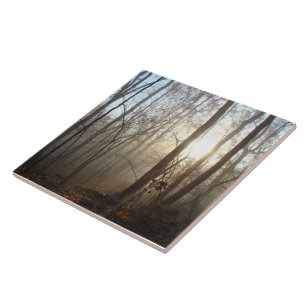 Misty Autumn Morning in the Forest #3 Tile