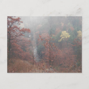 Misty Autumn Woods Postcard