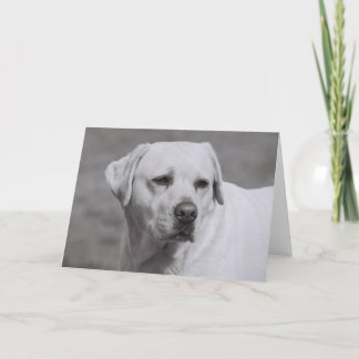 Misty Card