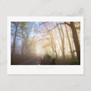 Misty Cotswolds Postcard