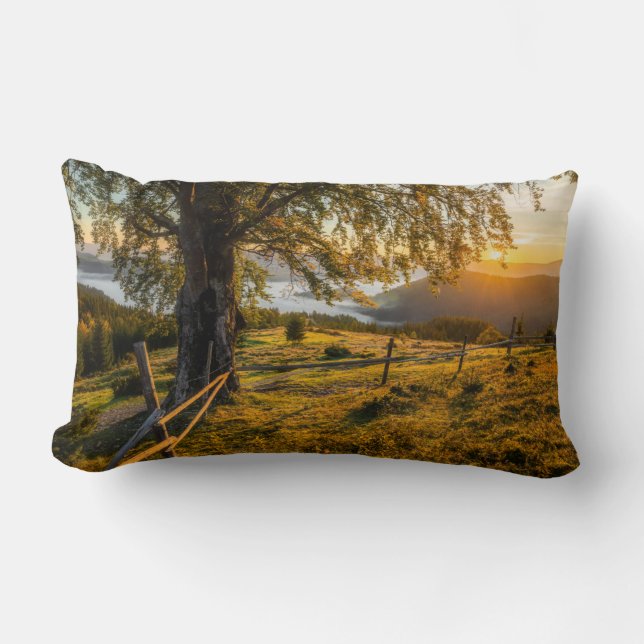 Misty Dawn in a Forest Lumbar Pillow (Front)