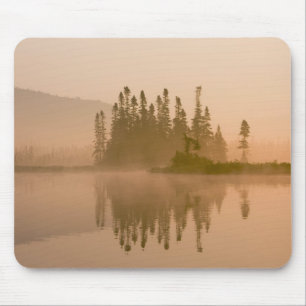 Misty dawn on East Inlet, Pittsburg, New Mouse Pad