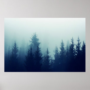 Misty fog in pine forest on mountain slopes. Colou Poster