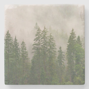 Misty Foggy Forest Trees Stone Coaster