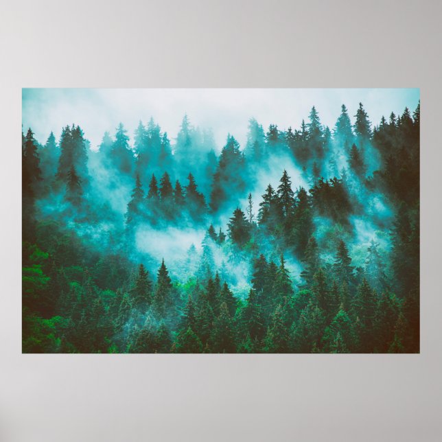 Misty foggy mountain landscape with fir forest and poster (Front)
