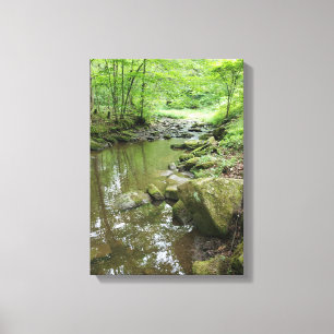 Misty Forest Canvas Wall Art   Serene Nature