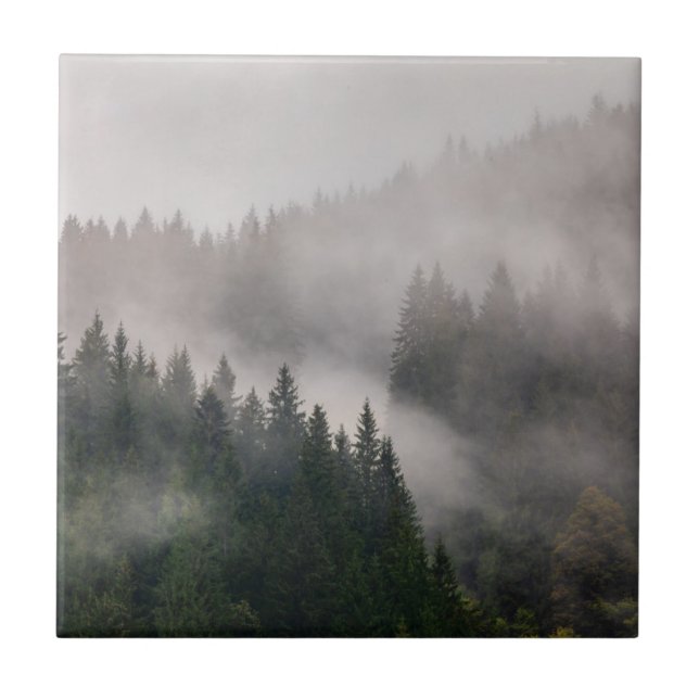 Misty Forest in the Mountains Tile (Front)