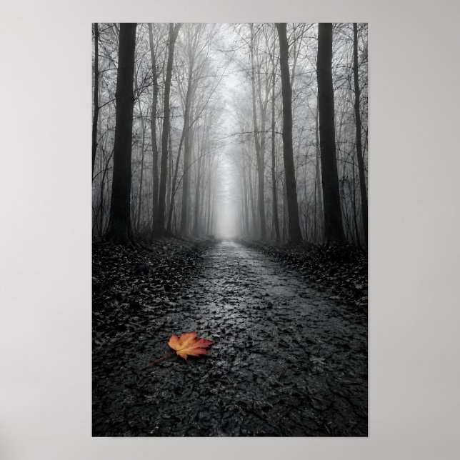Misty Forest Path Selective Colour Poster (Front)
