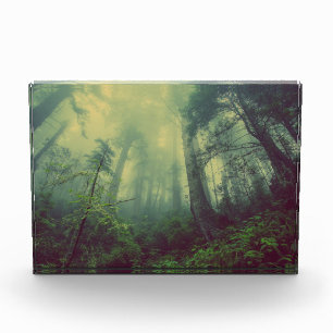 Misty Forest Photo Block