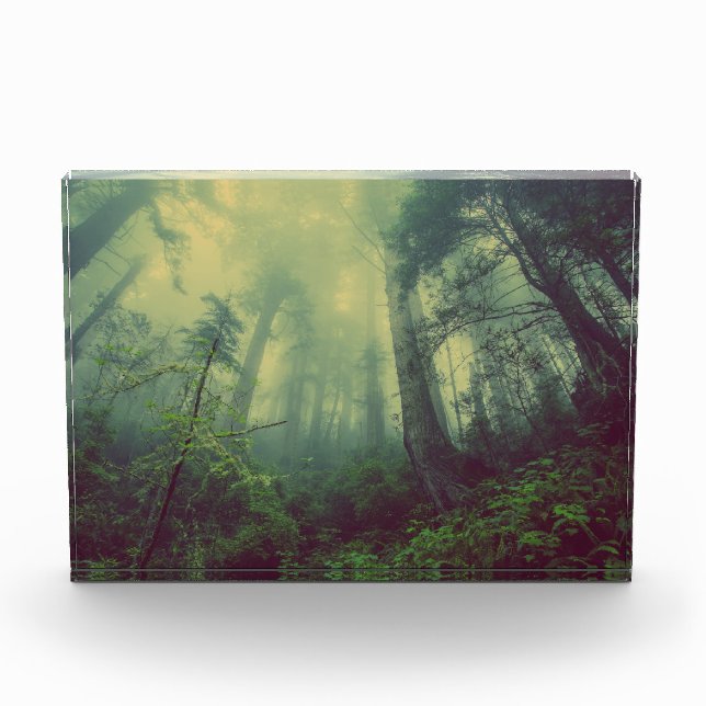 Misty Forest Photo Block (Front)