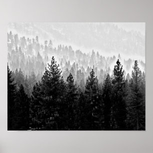 misty forest poster