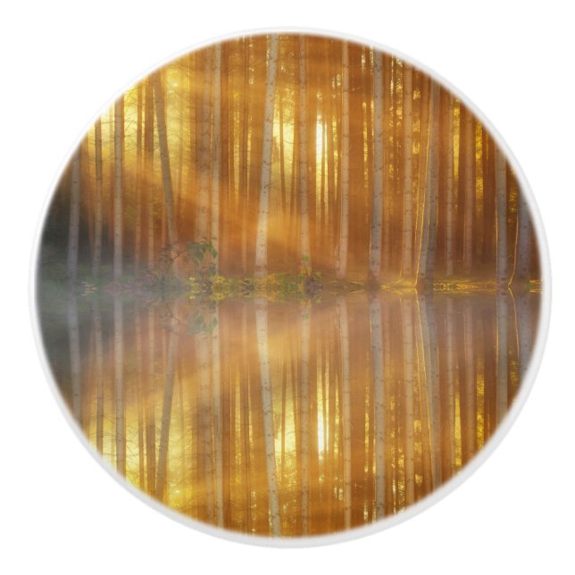 Misty Forest Scene Ceramic Knob (Front)