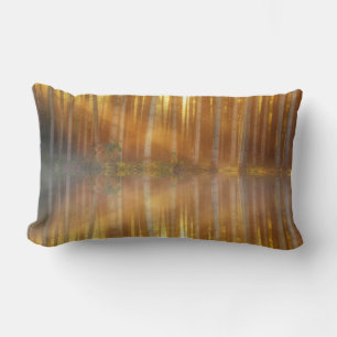 Misty Forest Scene Lumbar Pillow