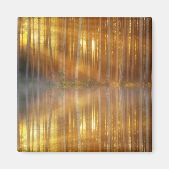 Misty Forest Scene Magnet (Front)