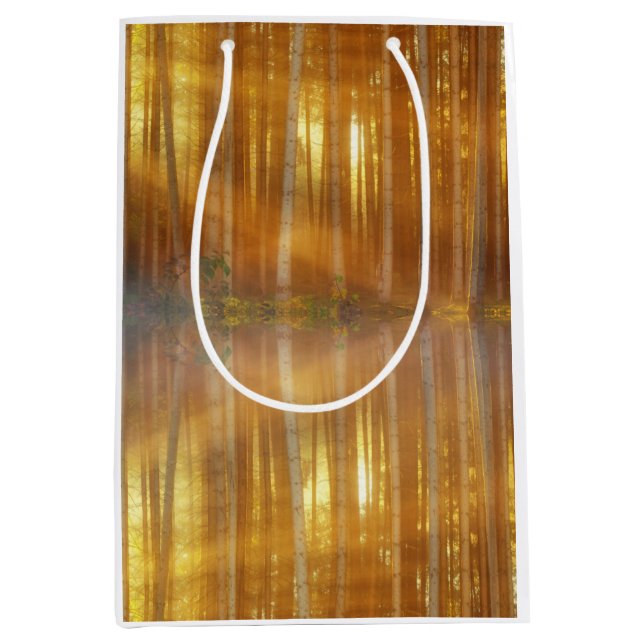 Misty Forest Scene Medium Gift Bag (Front)