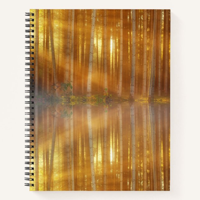 Misty Forest Scene Notebook (Front)