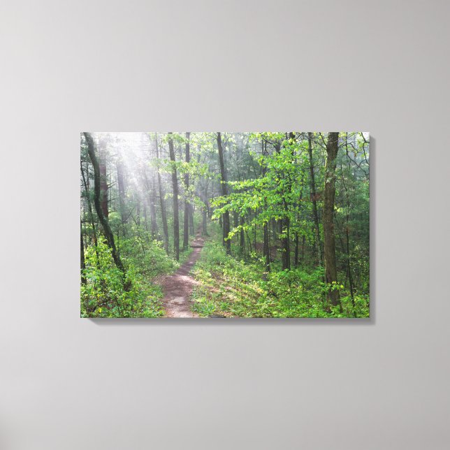 Misty Forest Trail at Castle Mound Canvas Print (Front)