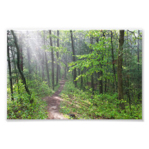 Misty Forest Trail at Castle Mound Photo Print