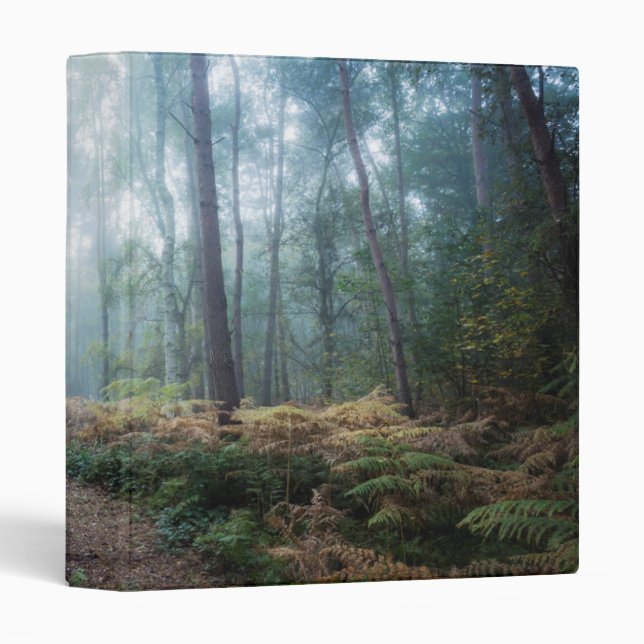 Misty Forest Walk Binder (Front/Spine)