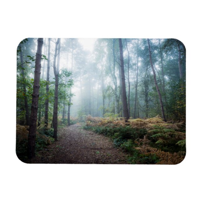 Misty Forest Walk Magnet (Horizontal)