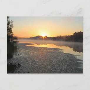 Misty Lake Sunrise Postcard