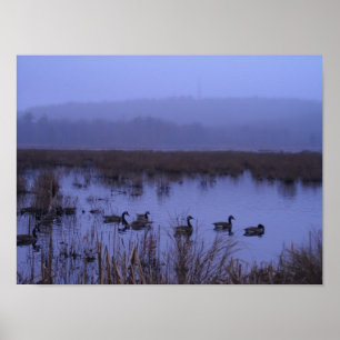 Misty Marsh Photograph Poster
