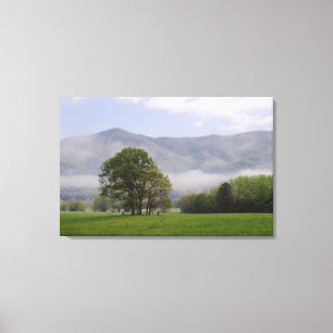 Misty meadow and Rich Mountain, Cades Cove, Canvas Print
