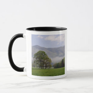 Misty meadow and Rich Mountain, Cades Cove, Mug
