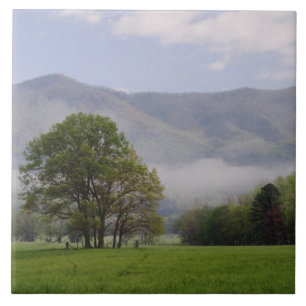 Misty meadow and Rich Mountain, Cades Cove, Tile