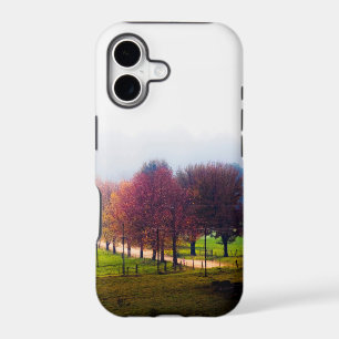 Misty meadow in autumn