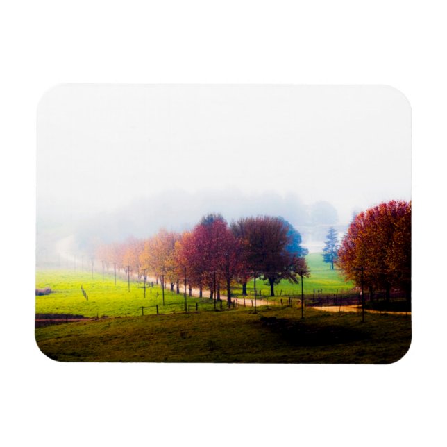 Misty meadow in autumn magnet (Horizontal)