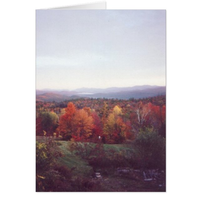 "Misty Morning, 15 octobre 2008" (Devant)