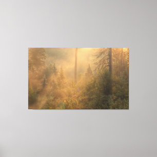 Misty Morning Canvas Print