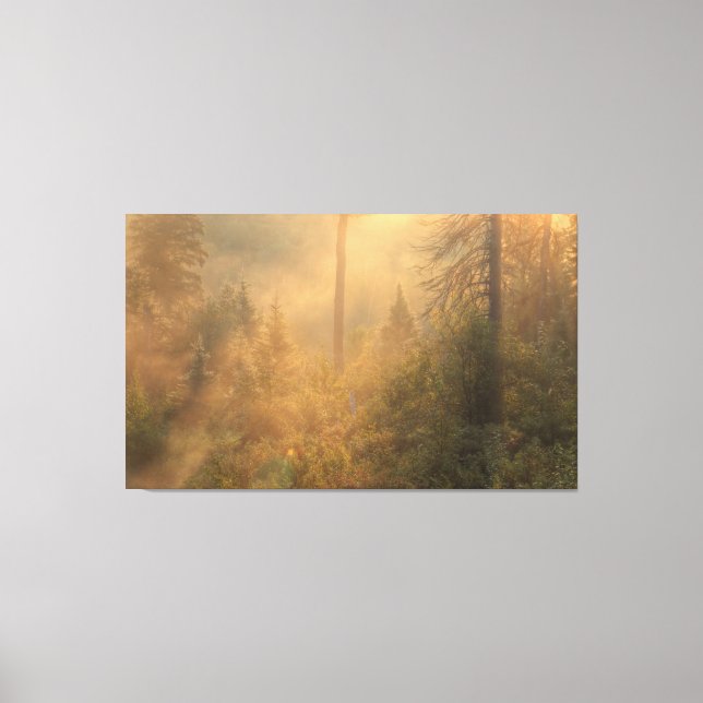 Misty Morning Canvas Print (Front)
