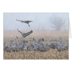 Misty Morning Nebraska Landing