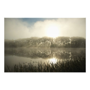 Misty morning - photo