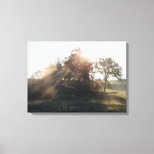 Misty Mornings Canvas Print