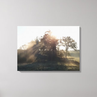 Misty Mornings Canvas Print