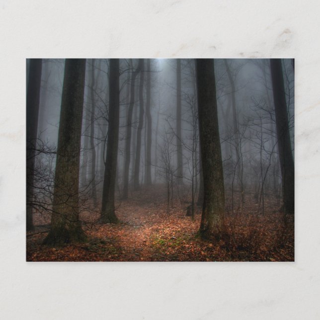 Misty Path to Flat Top Mountain Postcard (Front)